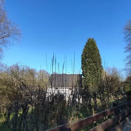 Kastanie Im Neandertal *