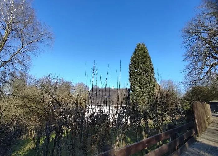 Kastanie Im Neandertal *